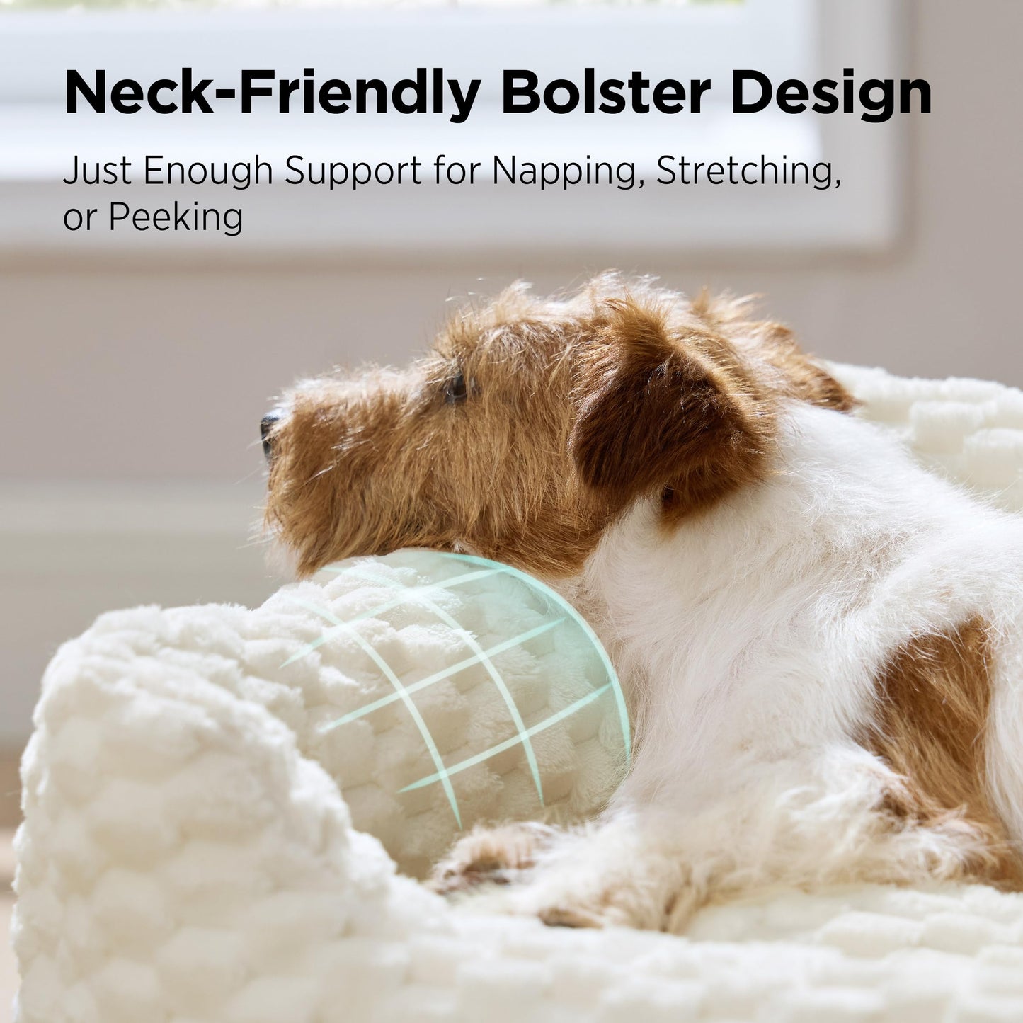Fluffy Washable Dog Bed for Small & Medium Dogs