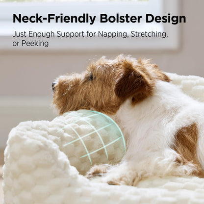 Fluffy Washable Dog Bed for Small & Medium Dogs