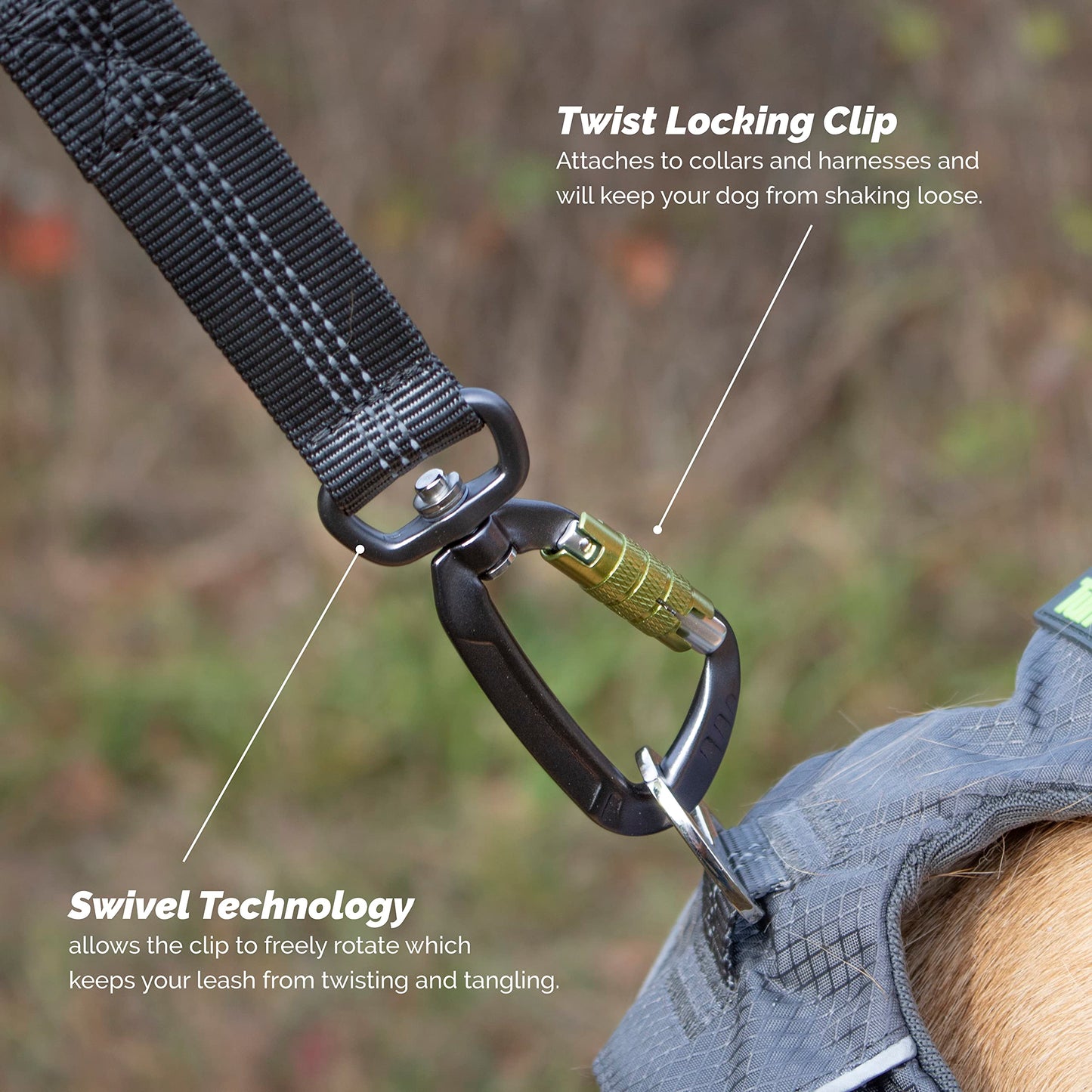 Hands-Free Dog Leash Belt for Walking & Running