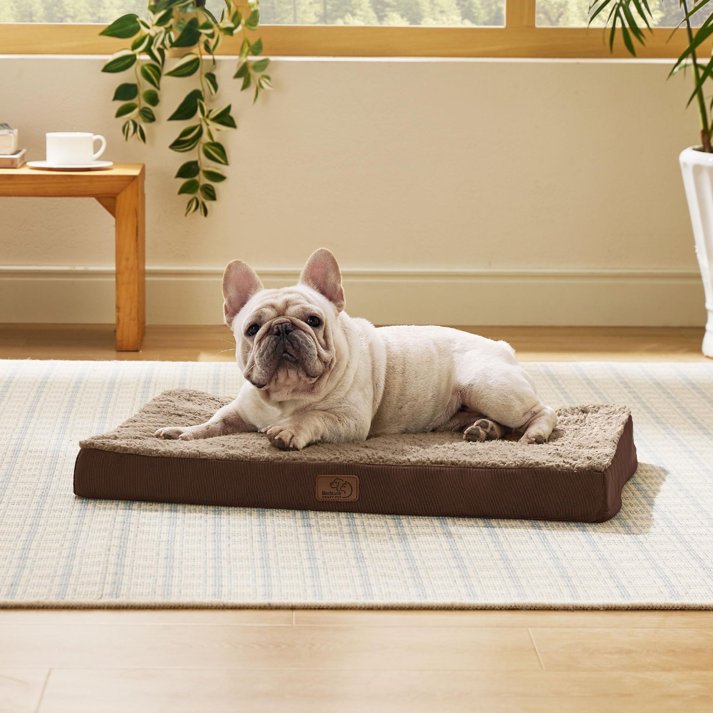 Washable Sherpa Dog Bed for Large Dogs