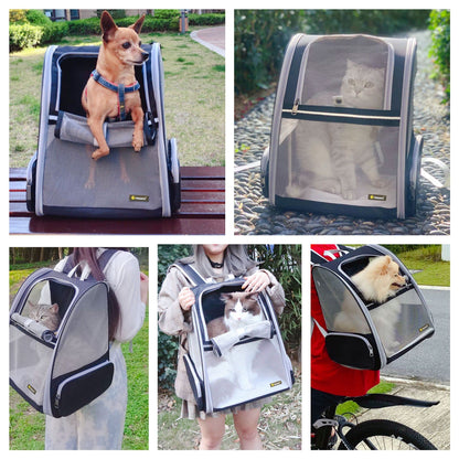 Bubble Pet Carrier Backpack for Cats & Dogs