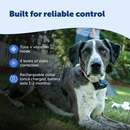 PetSafe Animal Collar