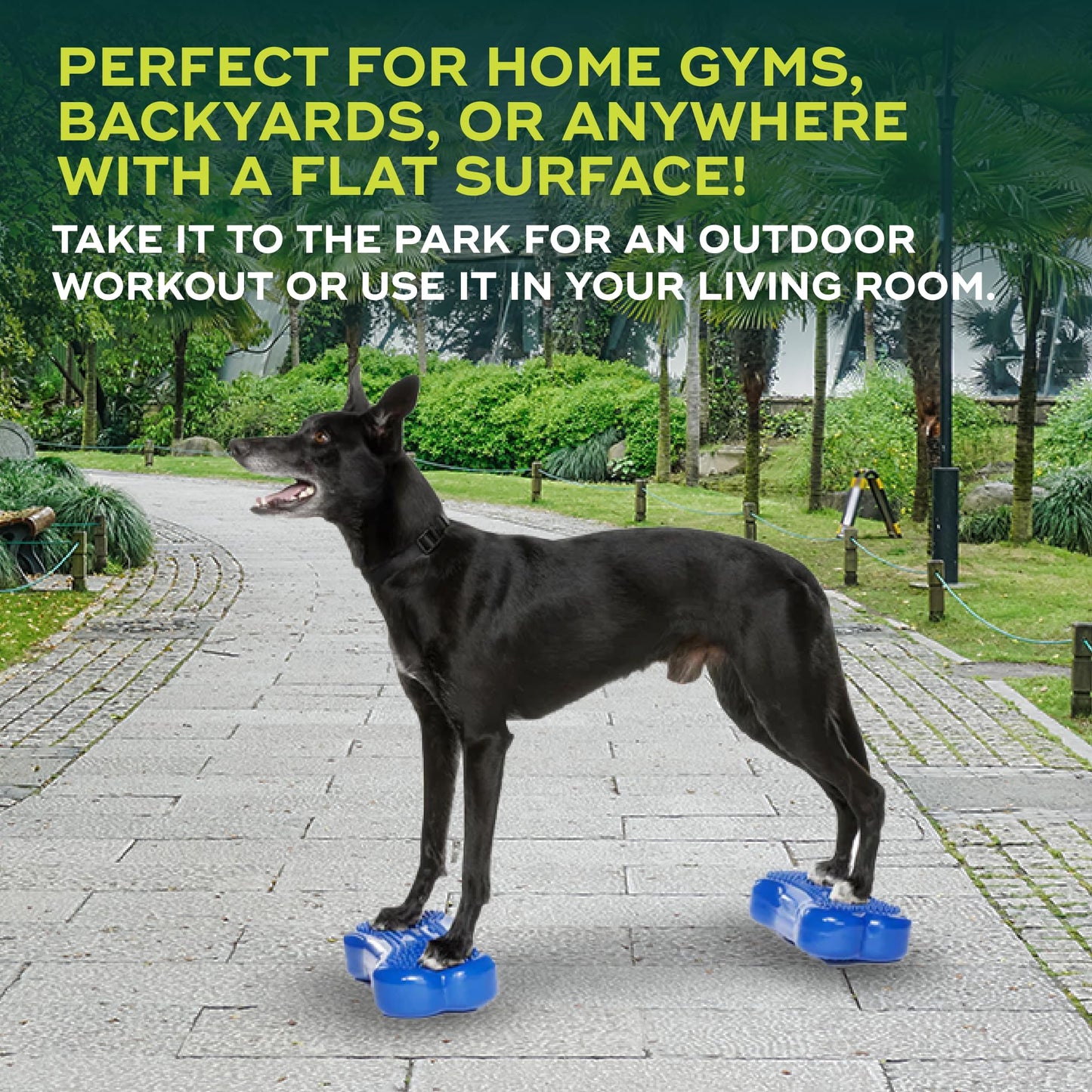 FitPaws® Mini K9FITbone® Dog Balance Platform, Core Stability Tool, 2-Pack