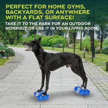 FitPaws® Mini K9FITbone® Dog Balance Platform, Core Stability Tool, 2-Pack