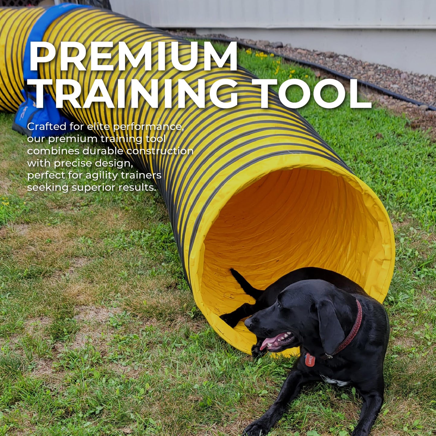 ActiveDogs Dog Agility Tunnel, Heavy Duty Dog Training Equipment, 20 ft