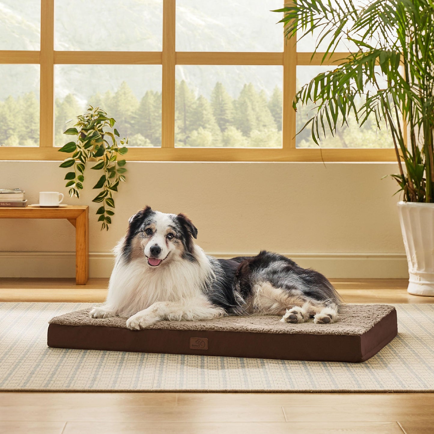 Washable Sherpa Dog Bed for Large Dogs